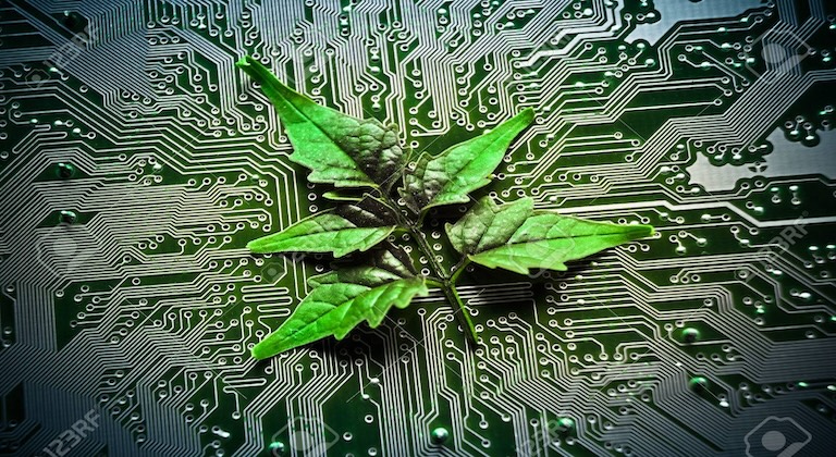 Green Computing Initiatives in Small Businesses: A Comprehensive Guide